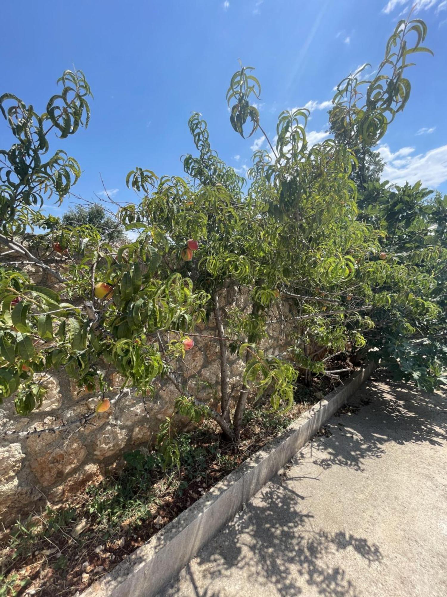 Olympian Rooms ديرمي المظهر الخارجي الصورة